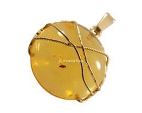 10 Amber Fossil Pendants in Gold ideas | amber fossils, fossil jewelry, insect jewelry