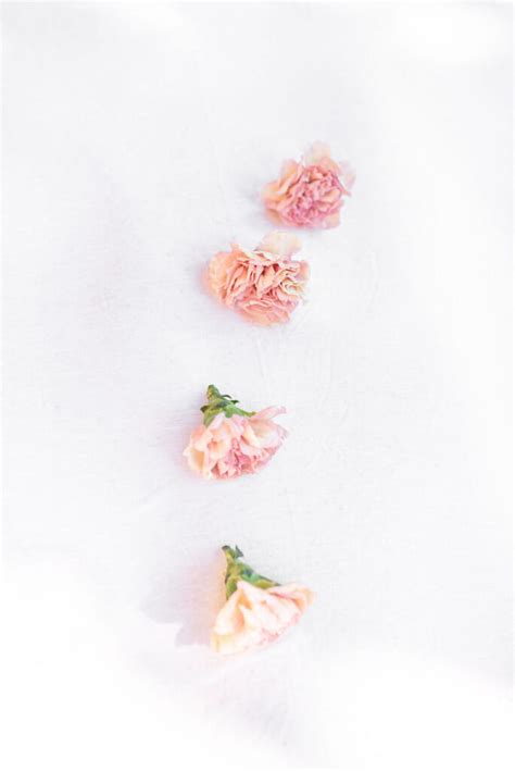 How to: Create a Carnation Garland - You Floral