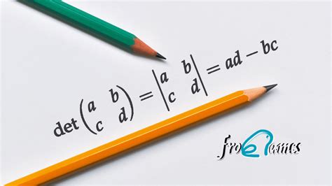 Una guía completa sobre las matrices