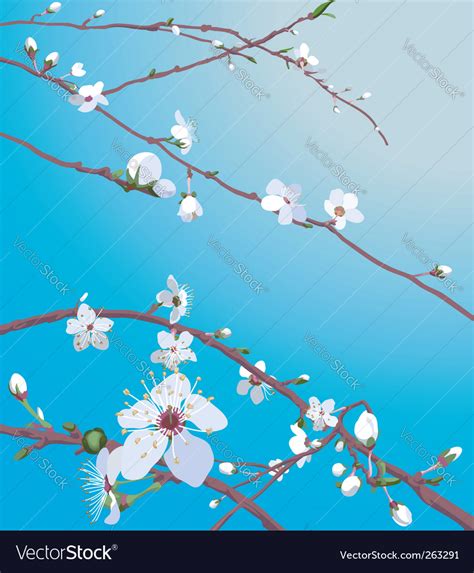 Blossom background Royalty Free Vector Image - VectorStock