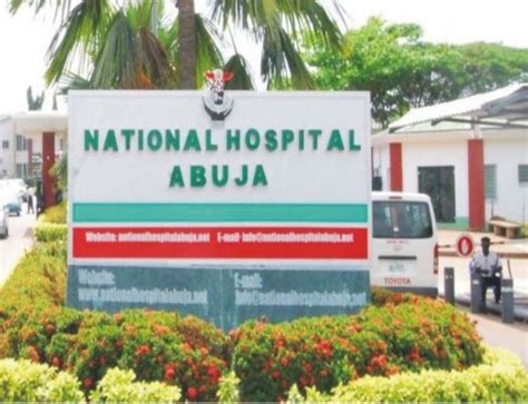 National Hospital, Abuja, Records 500 IVF Births In 10 Yrs — CMD - Uju ...