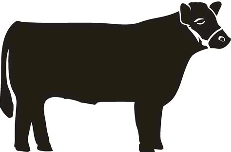 2011 NC State Fair Jr. Market Steer Nominations | Show cattle, Showing livestock, Animal silhouette