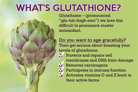 Powerful Facts About Glutathione | 1 Master Antioxidant | Glutathione, Glutathione benefits, Health