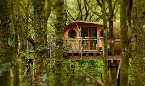 Beautifully designed treehouse in a hidden Welsh woodland 1 at Living ...