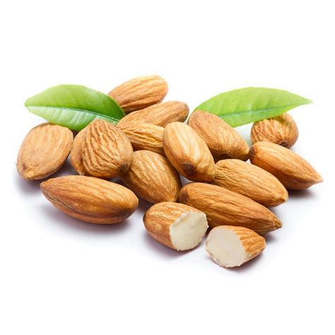 Almond Bitter Carrier Oil | Moksha Lifestyle Products