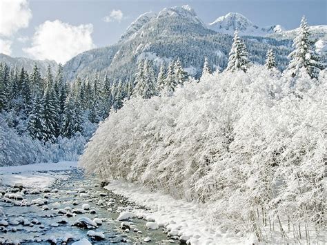 Yellowstone National Park USA, Yellowstone Winter HD wallpaper | Pxfuel