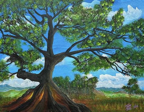 Ceiba Tree in Salinas Painting by Tony Rodriguez - Fine Art America