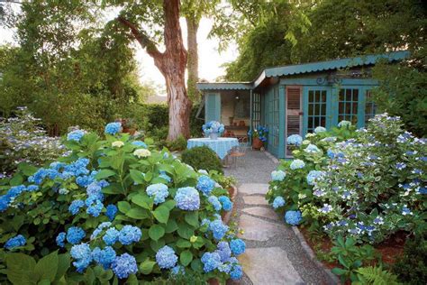 Landscaping With Hydrangeas And Boxwoods - e-ntgreenlife