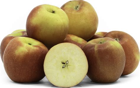 JAZZ™ Apples Information and Facts