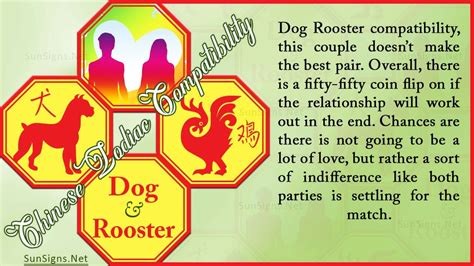 Dog Rooster Compatibility: Too Different or Too Alike? - SunSigns.Net