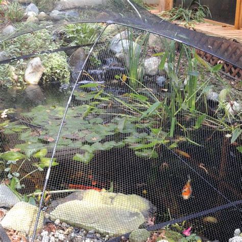 Pond Protection Netting | Garden Pond Netting | Pond netting, Pond, Garden netting