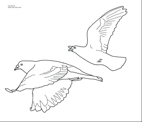 Flying Bird Line Drawing at GetDrawings | Free download