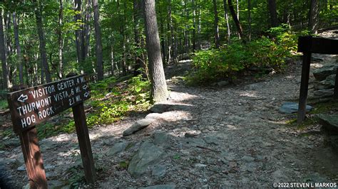 Catoctin Mountain Park | THURMONT VISTA LOOP HIKE