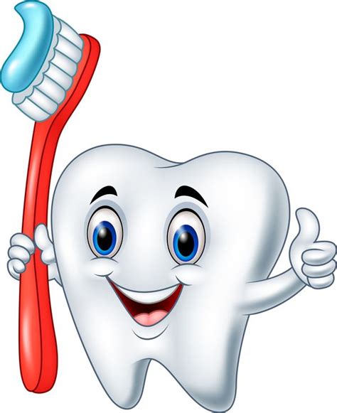 Cartoon Teeth with Toothbrush Vector