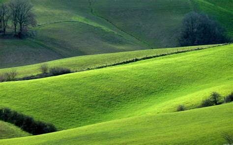 Green Hills Wallpaper - WallpaperSafari