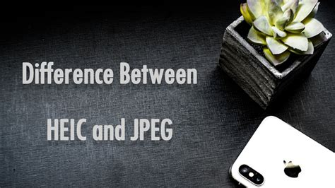 Learn The Difference Between HEIC and JPEG Image!