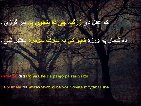 100 Pashto Poetry Shayari - shairi Pashto Poetry lovers - Quote Poetry