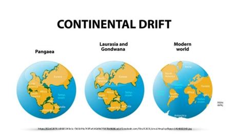 Supercontinent cycle