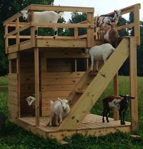 19 Best Goats images in 2020 | Goats, Goat care, Goat farming