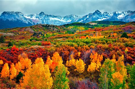 Critter Sitter's Blog: Fall Foliage Photos From National Parks