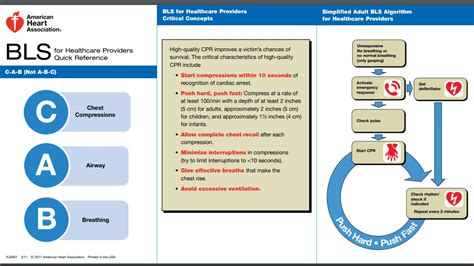 American Heart Association Cpr Guidelines 2024 - Allis Bendite