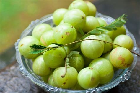 Indian Gooseberry Benefits: 10 Uses For This Native Asian Berry