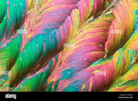 Hippuric acid hi-res stock photography and images - Alamy