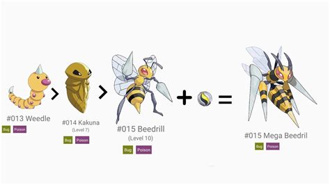 Kakuna Evolution Chart