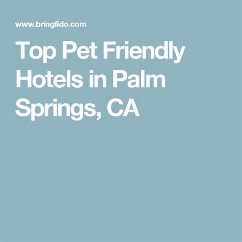 Top Pet Friendly Hotels in Palm Springs, CA | Palm springs hotels, Pet friendly hotels, Palm springs