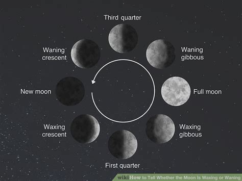 How to Tell Whether the Moon Is Waxing or Waning: A Guide