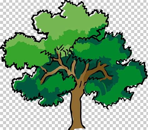 Narra Tree Oak PNG, Clipart, Arecaceae, Art, Background Green, Brown, Clip Art Free PNG Download