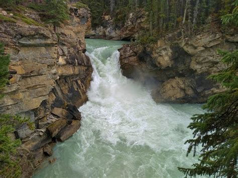 Lower Sunwapta Falls Trail Hiking Trail, Jasper Park Lodge, Alberta