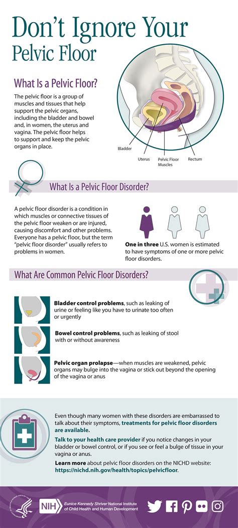 Infographic: Don't Ignore Your Pelvic Floor | NICHD - Eunice Kennedy ...