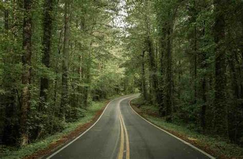 The Best Tennessee Road Trip Itinerary | offMetro World