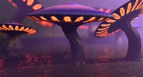 Fantasy Mushrooms Collection in Props - UE Marketplace