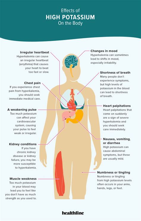 The Effects of High Potassium on Your Body | مـقـالاتـي