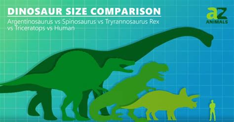 Dinosaur Size Comparison: Prehistoric Giants - A-Z Animals