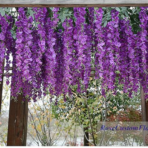 Wisteria Vine - Etsy