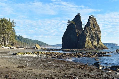 12 Top-Rated Hiking Trails in Olympic National Park | PlanetWare