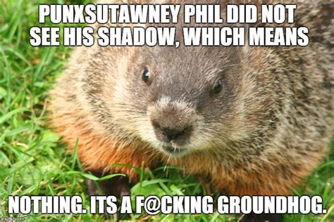 Punxsutawney Phil Groundhog Day 2024 Meme - Wendy Joycelin