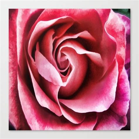 A Rose Canvas Print by lillianhibiscus | Society6