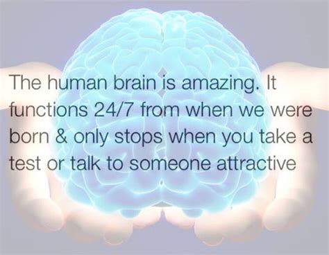 Funny Joke About The Brain Pictures, Photos, and Images for Facebook ...