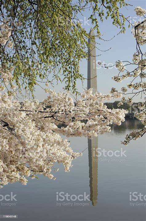 Washington Monument Reflection Stock Photo - Download Image Now ...