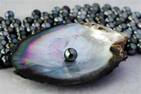 Are Pearls Considered a Mineral? (If Not, Then What Are They?) - Rock Seeker