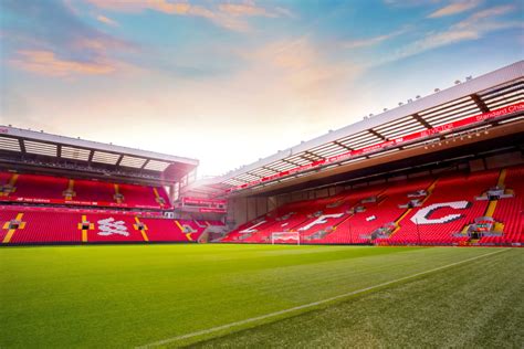 7 Reasons to See P!NK at Anfield Stadium | The Guide Liverpool