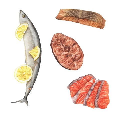 Fish meat set. Watercolor elements for your design. 3127791 Vector Art ...