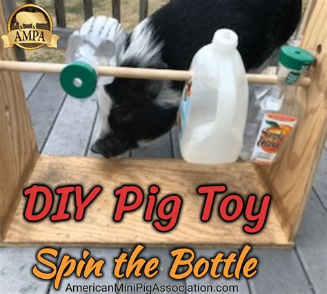 Dog Treat Dispenser Toy Diy | Wow Blog