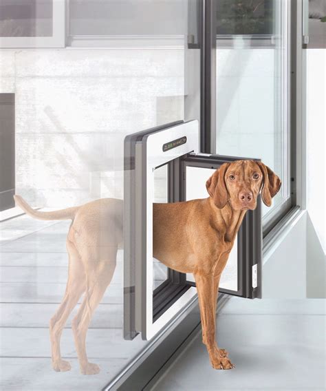 Best dog doors for large dogs - kobo building