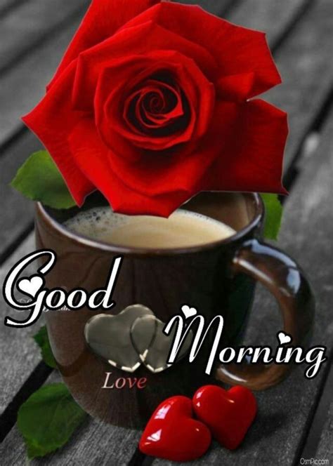 55 Good Morning Rose Flowers Images Pictures With Romantic, Red Roses