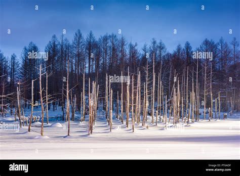 Biei hokkaido blue pond hi-res stock photography and images - Alamy